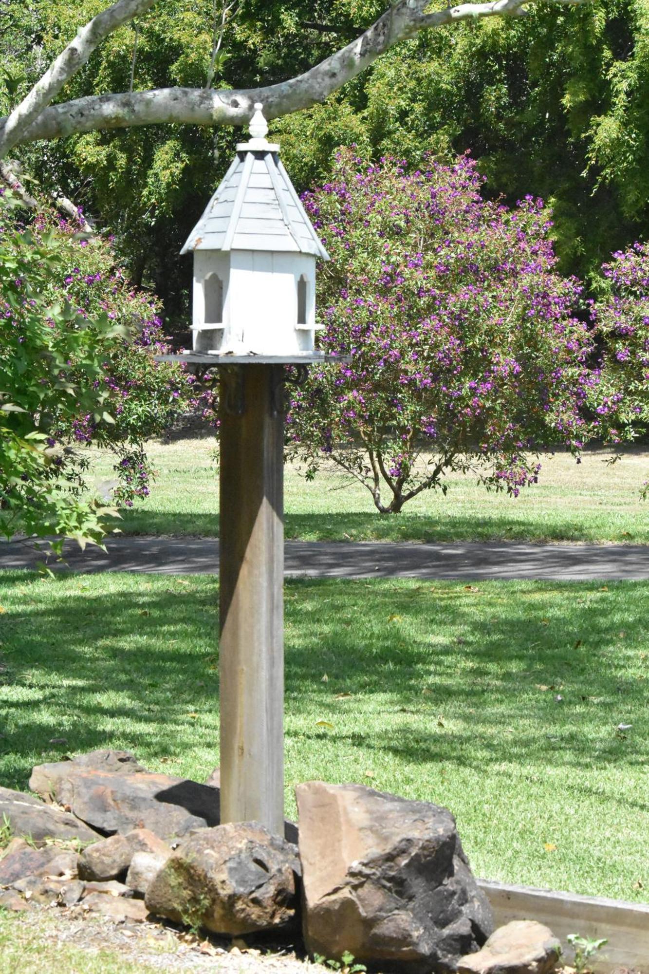 Appartamento Maleny Hinterland Escape Witta Esterno foto